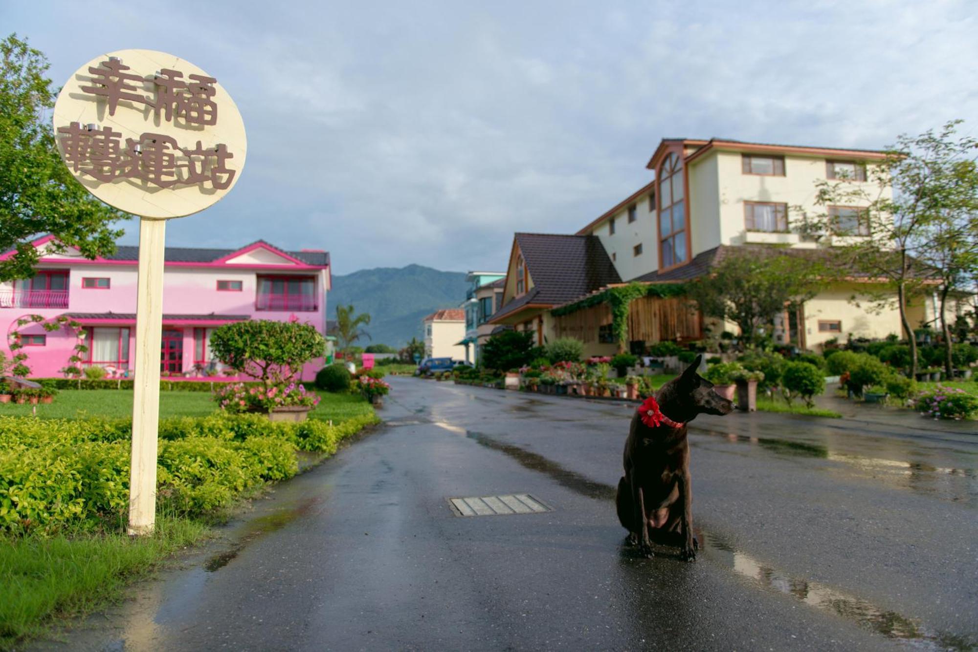 Xinfu Traveler Inn Taiping  Экстерьер фото